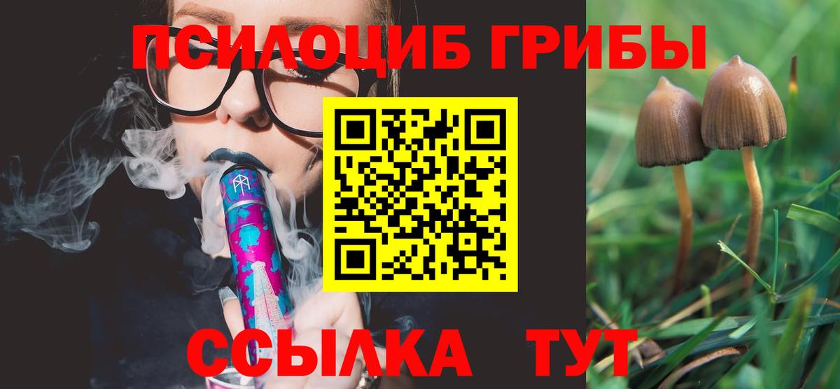 Псилоцибиновые грибы Magic Shrooms  Вход с VPN  Киселёвск 